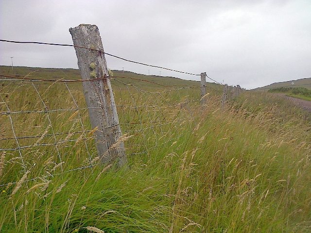 A weathered wooden fence corner post with barbed wire in a grassy field