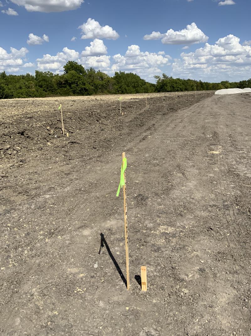 Estacas en línea de alcantarillado con latigazos y bandera verde en Creekside Estates, Terrell. Foto del sitio de trabajo de John Cowan & Associates.